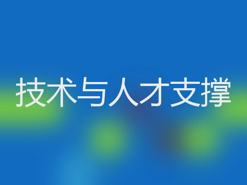 技术与人才支撑