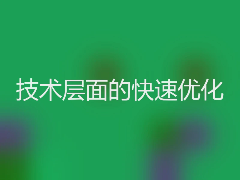 技术层面的快速优化