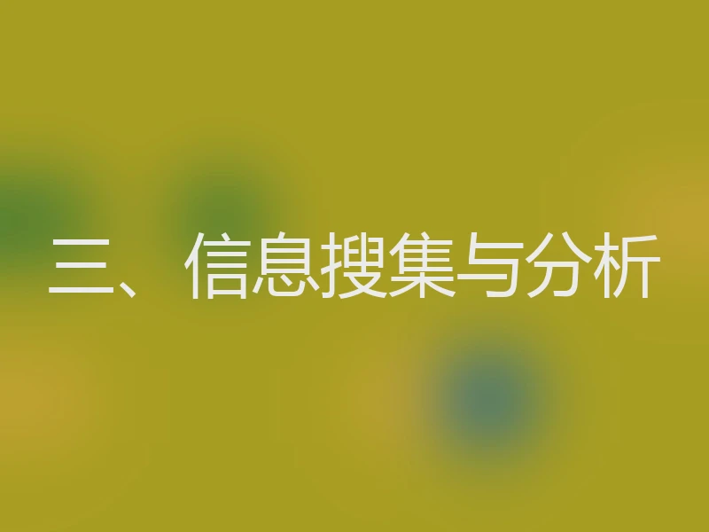 三、信息搜集与分析