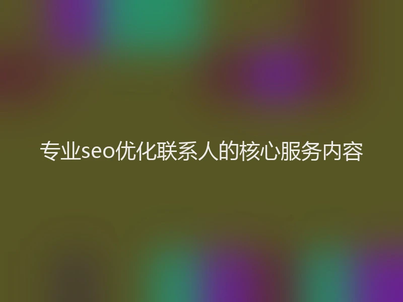 专业seo优化联系人的核心服务内容