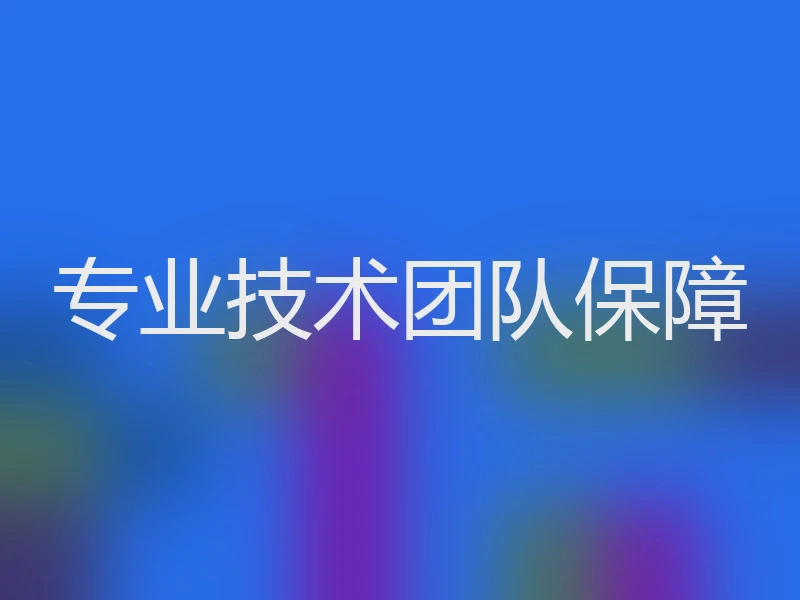 专业技术团队保障