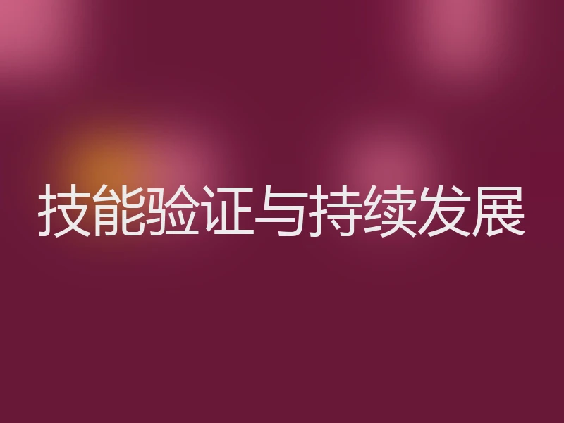 技能验证与持续发展