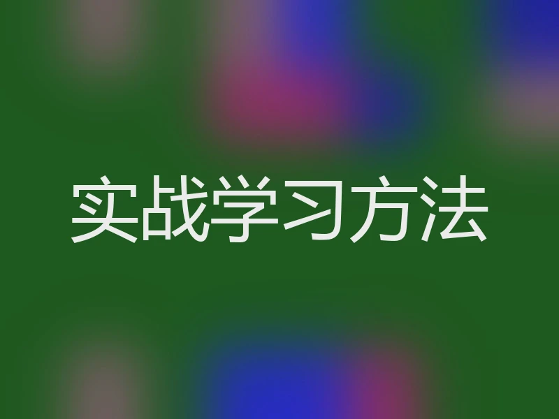 实战学习方法
