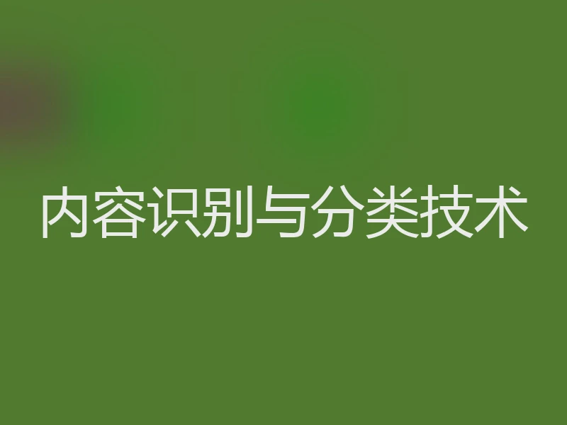 内容识别与分类技术