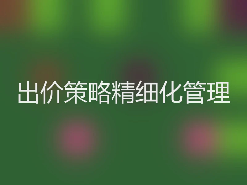 出价策略精细化管理