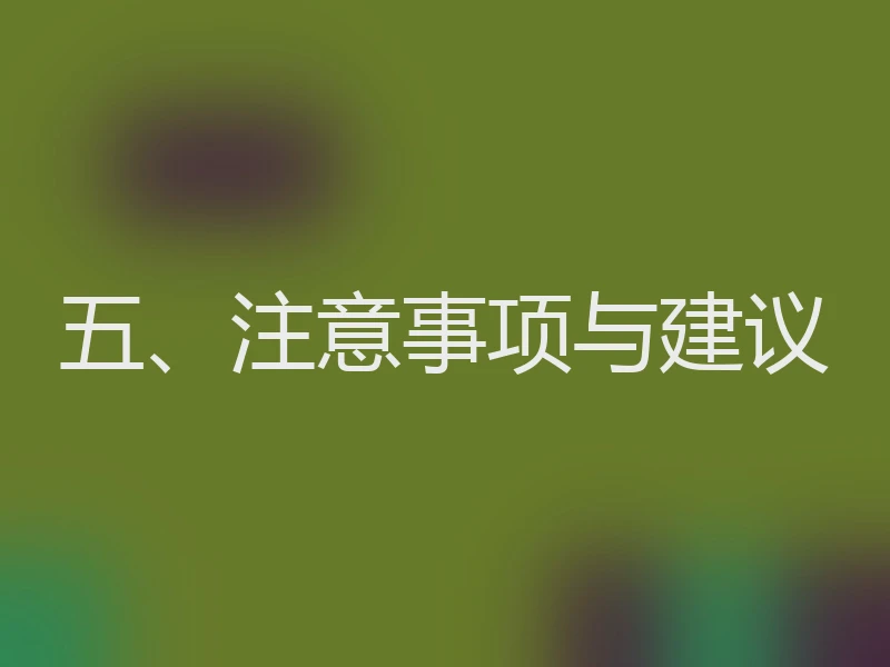 五、注意事项与建议