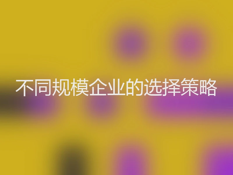 不同规模企业的选择策略