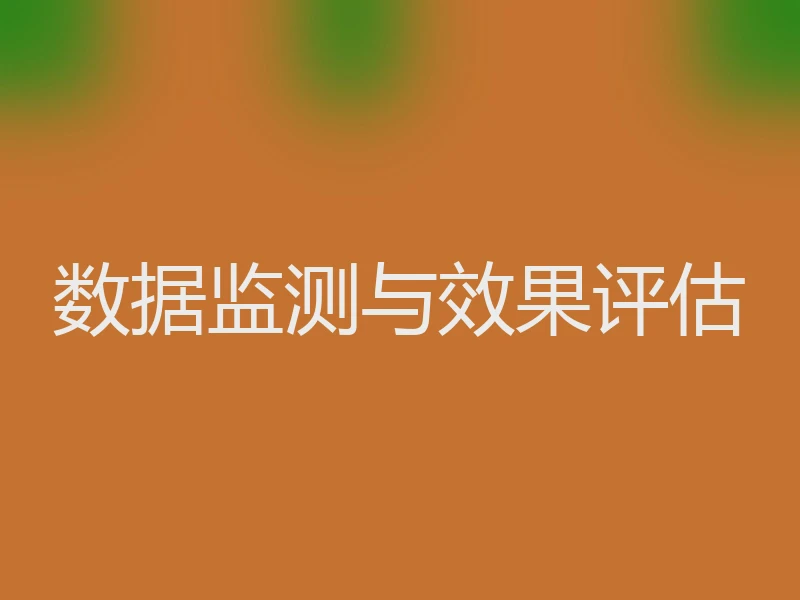 数据监测与效果评估