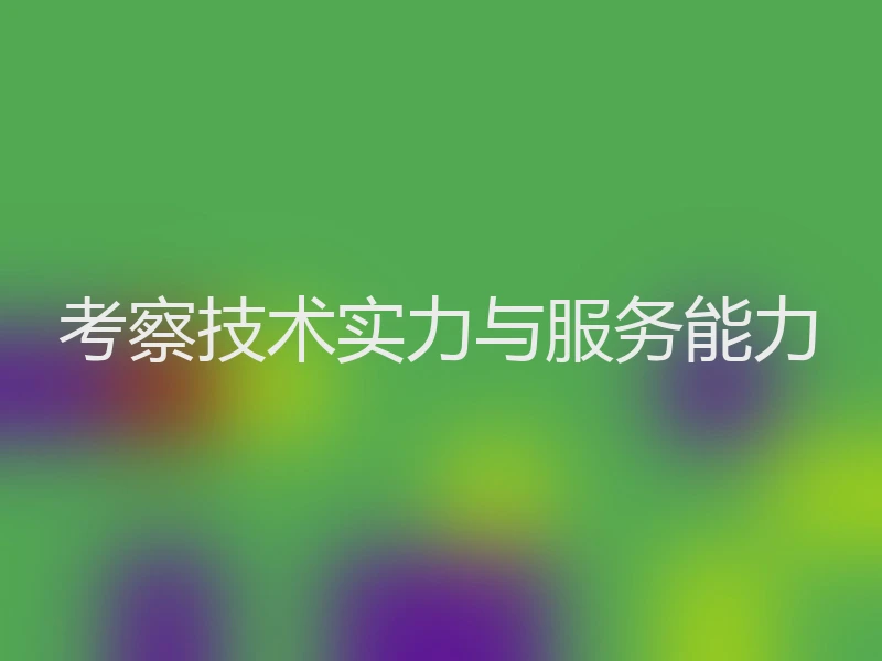 考察技术实力与服务能力