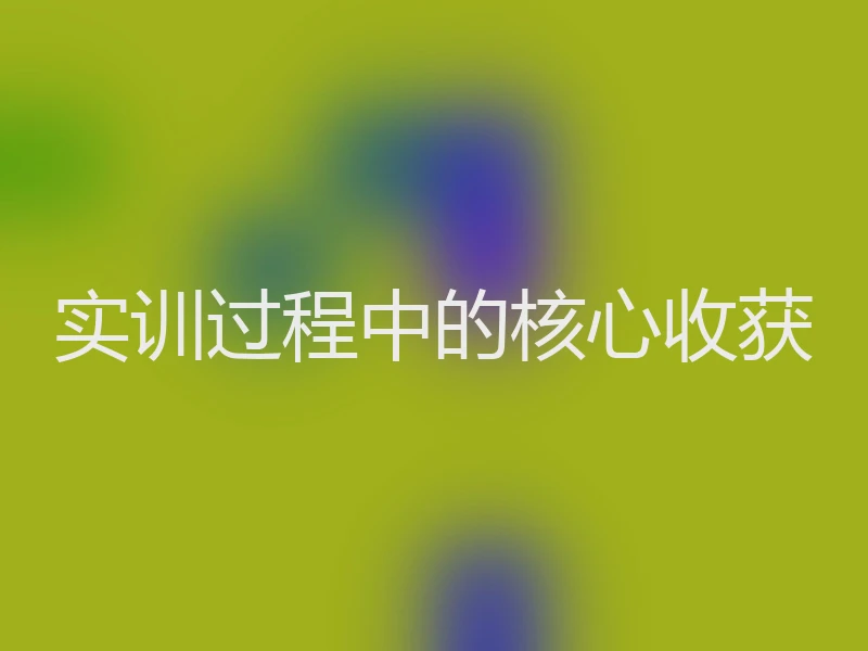 实训过程中的核心收获