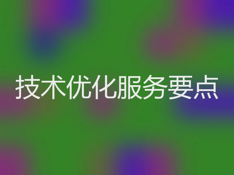 技术优化服务要点