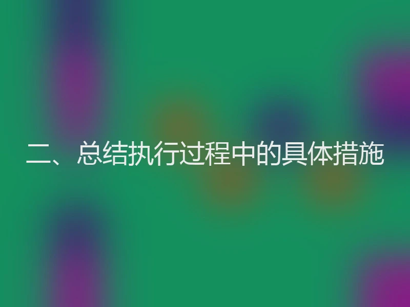 二、总结执行过程中的具体措施
