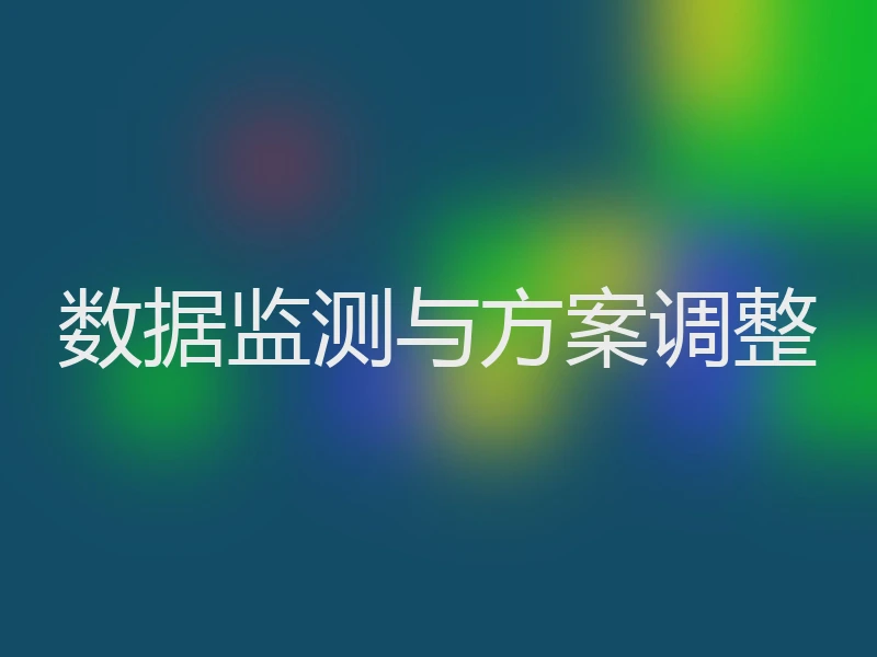 数据监测与方案调整