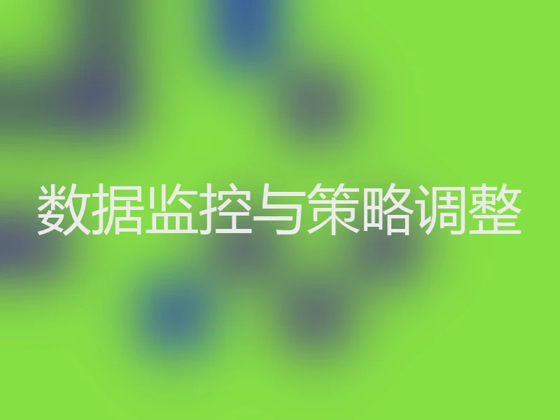 数据监控与策略调整