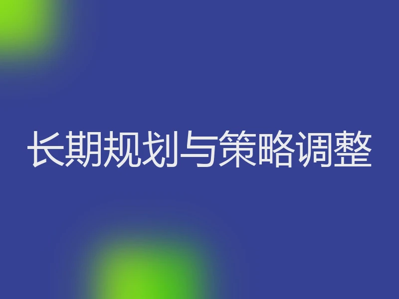 长期规划与策略调整