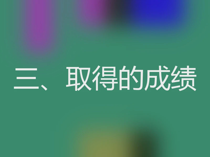 三、取得的成绩