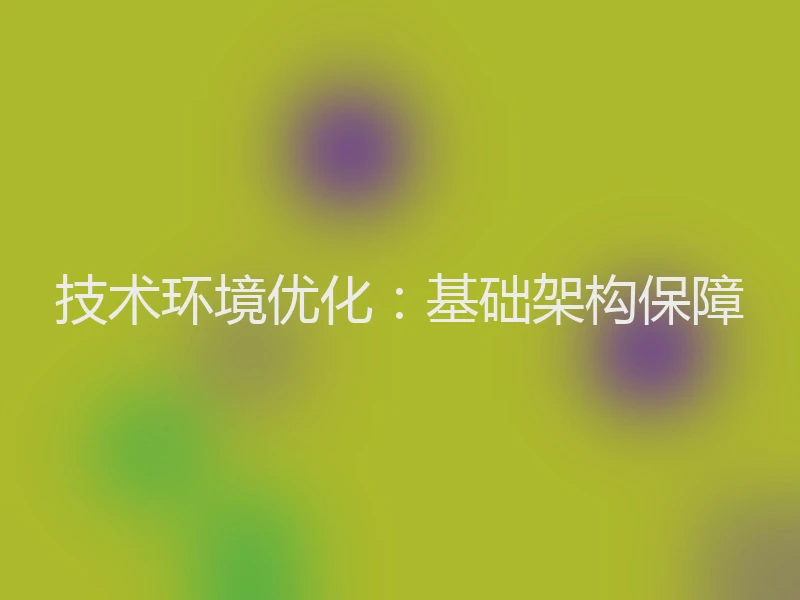 技术环境优化:基础架构保障