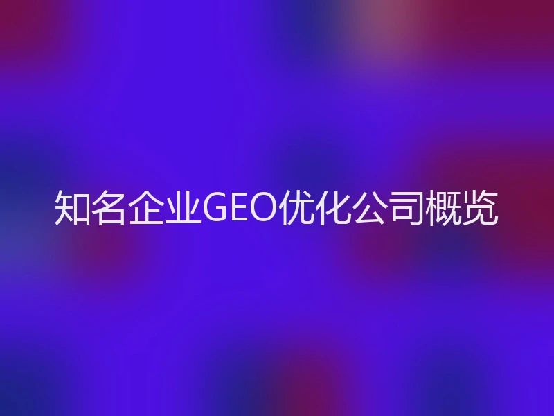 知名企业GEO优化公司概览