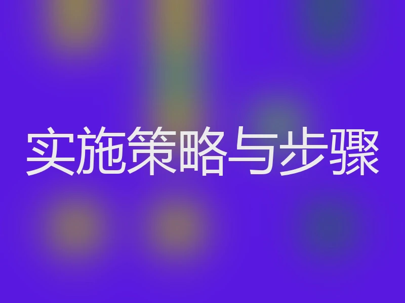实施策略与步骤
