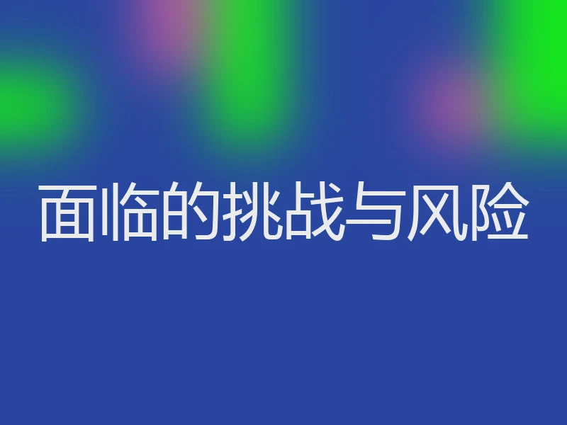 面临的挑战与风险