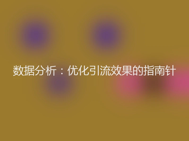 数据分析：优化引流效果的指南针