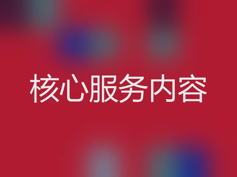 核心服务内容