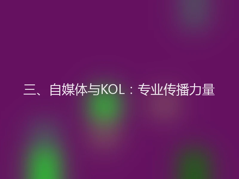 三、自媒体与KOL:专业传播力量