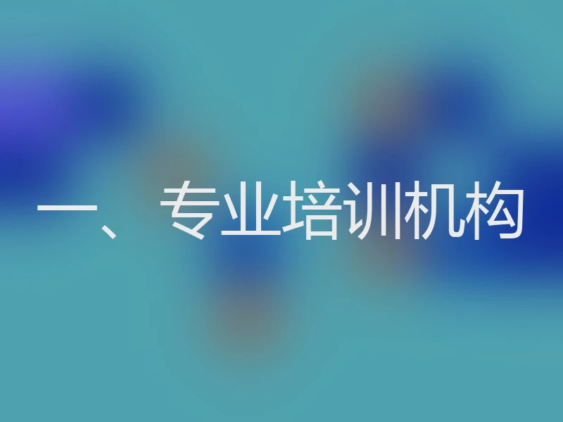 一、专业培训机构