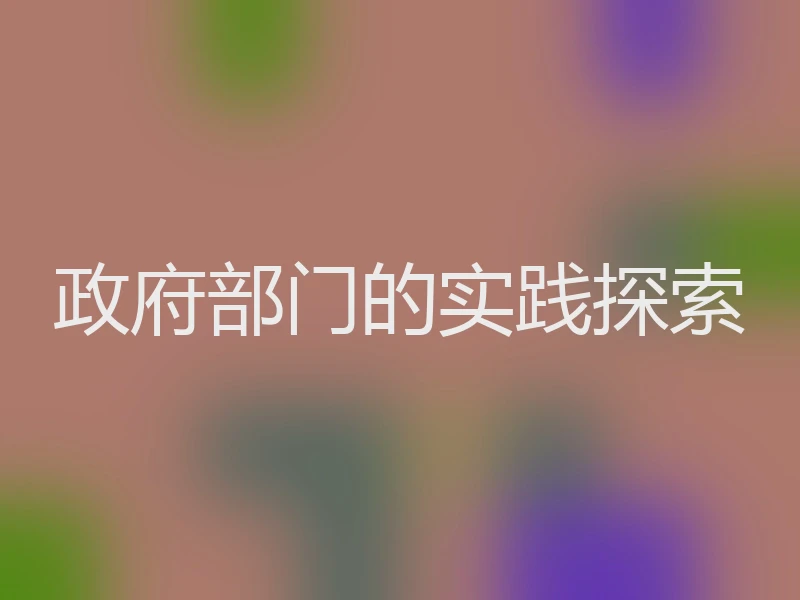 政府部门的实践探索