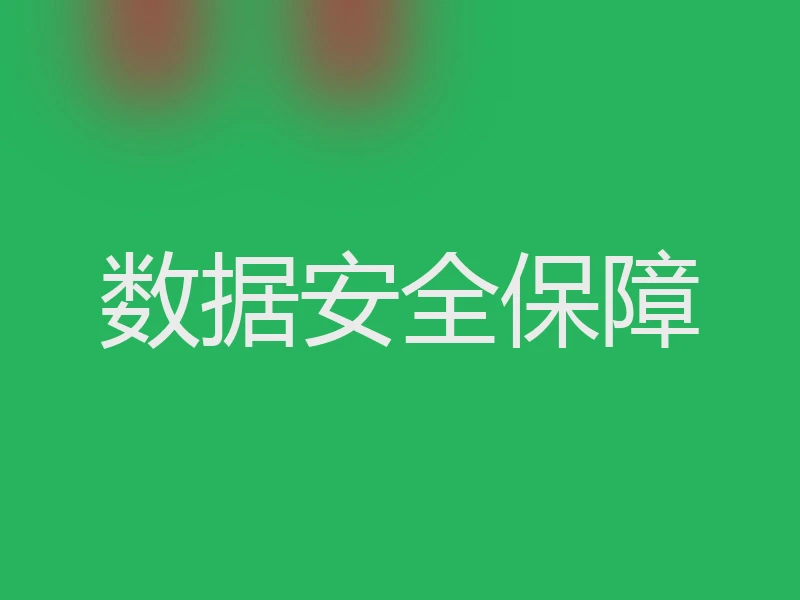 数据安全保障