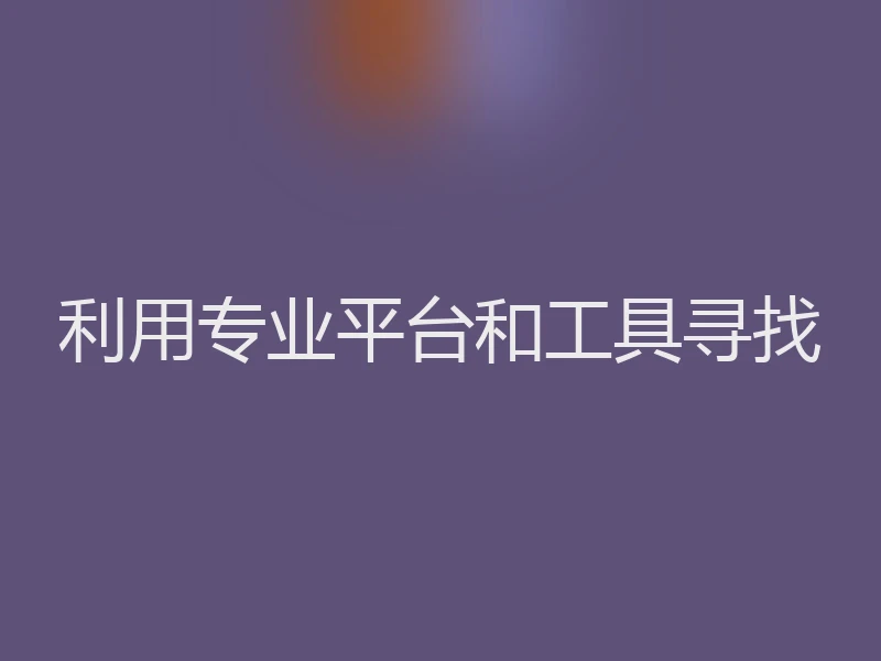 利用专业平台和工具寻找