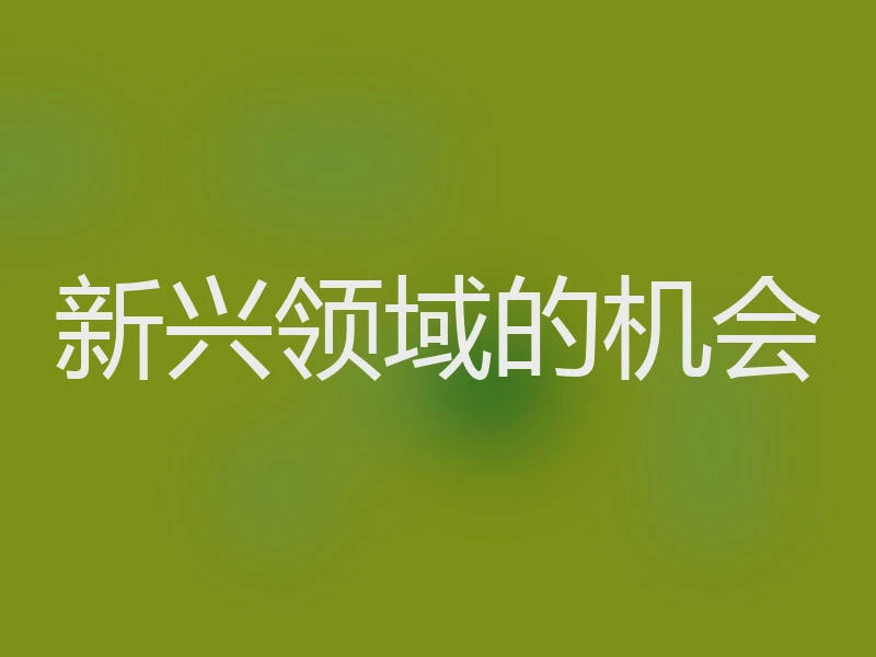 新兴领域的机会