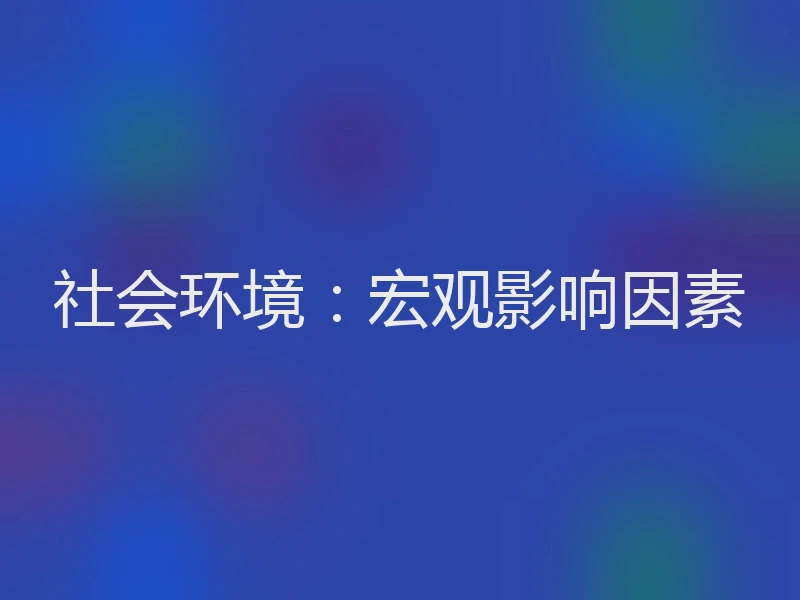 社会环境：宏观影响因素