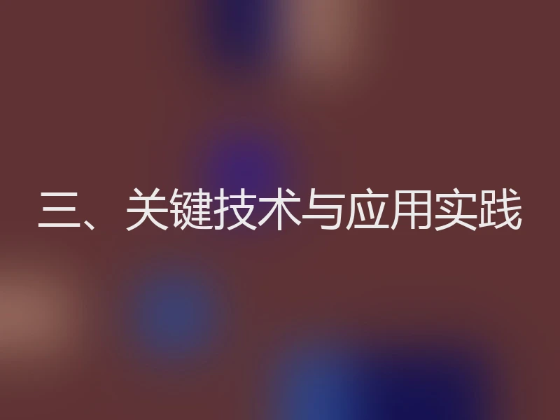 三、关键技术与应用实践