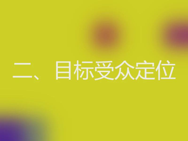 二、目标受众定位