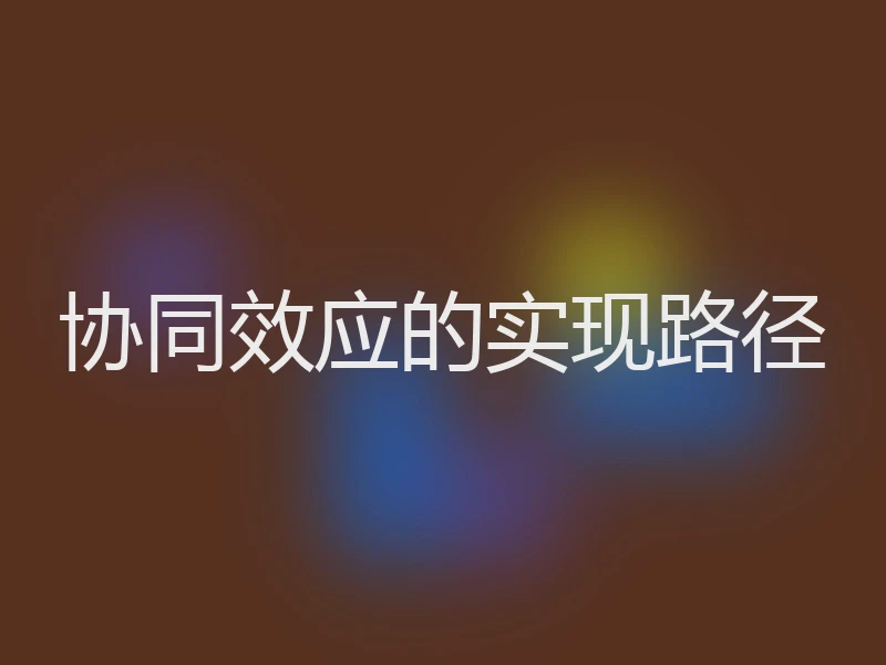 协同效应的实现路径