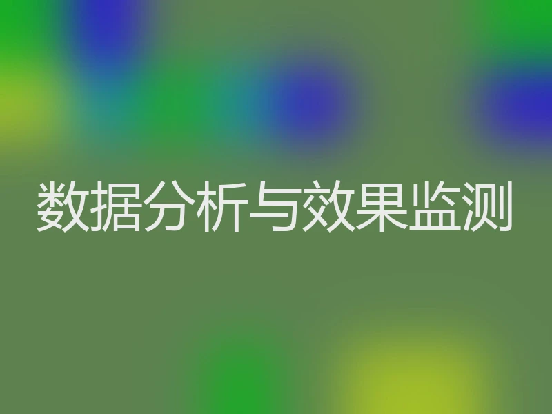 数据分析与效果监测