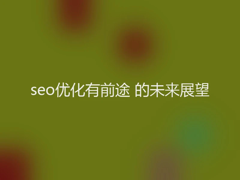 seo优化有前途 的未来展望