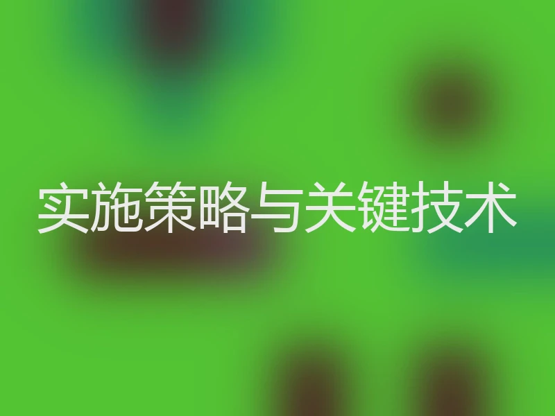 实施策略与关键技术