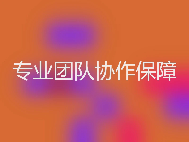 专业团队协作保障
