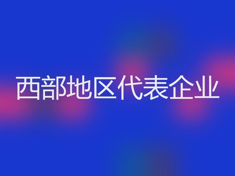 西部地区代表企业