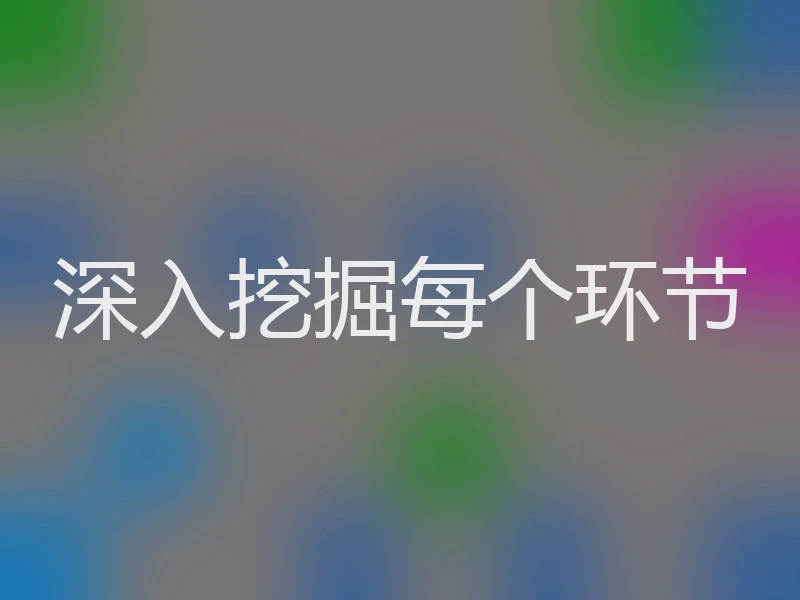深入挖掘每个环节