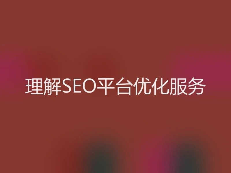 理解SEO平台优化服务