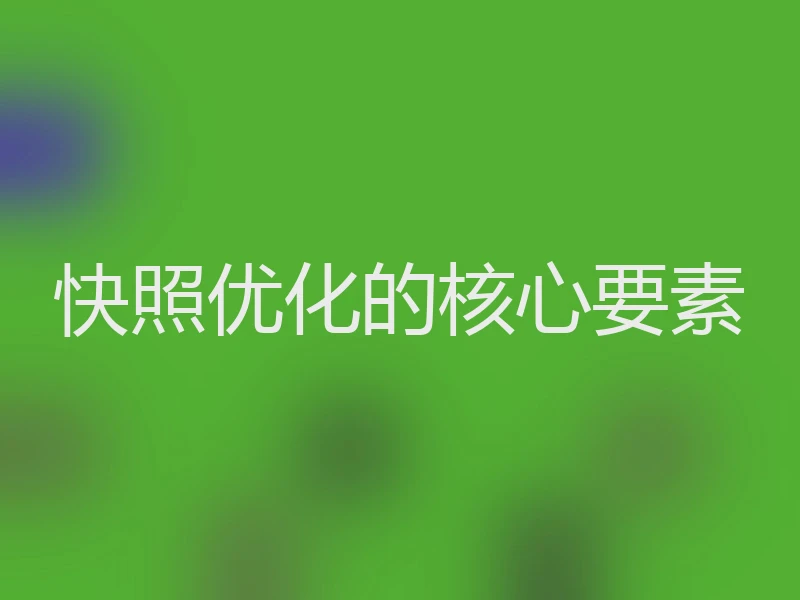 快照优化的核心要素