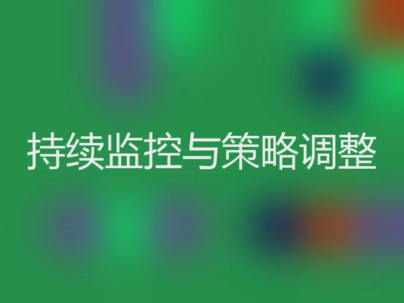 持续监控与策略调整