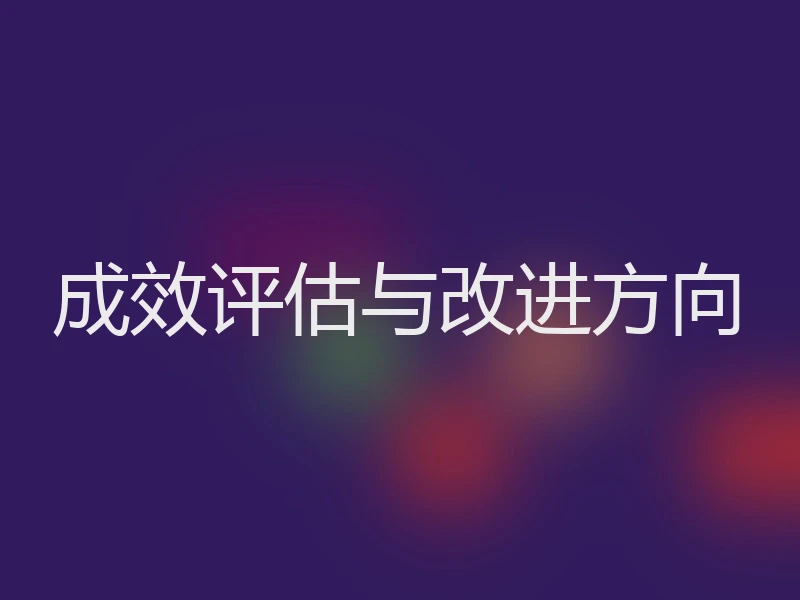 成效评估与改进方向