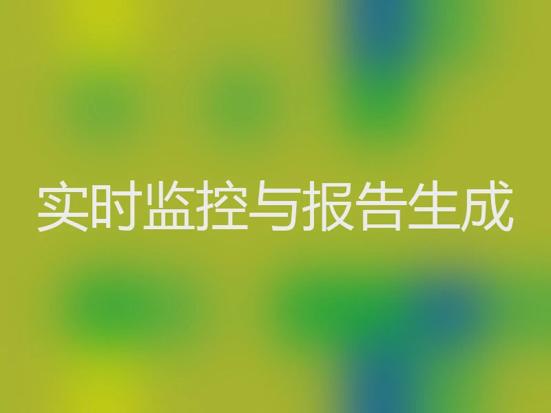 实时监控与报告生成