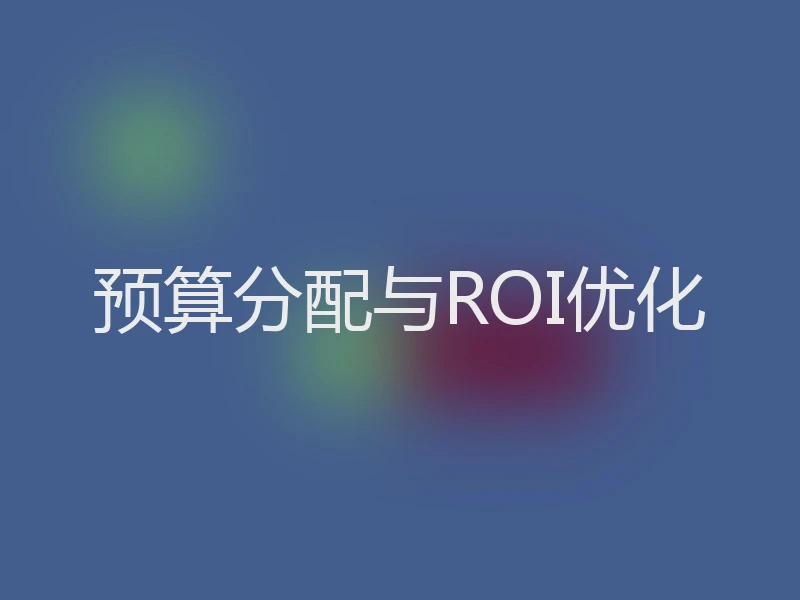 预算分配与ROI优化