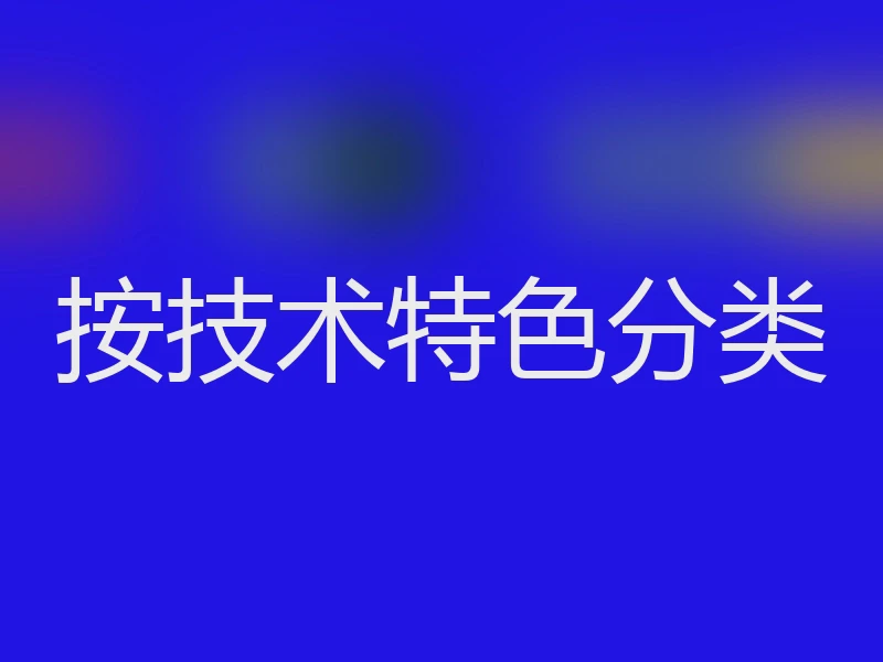 按技术特色分类