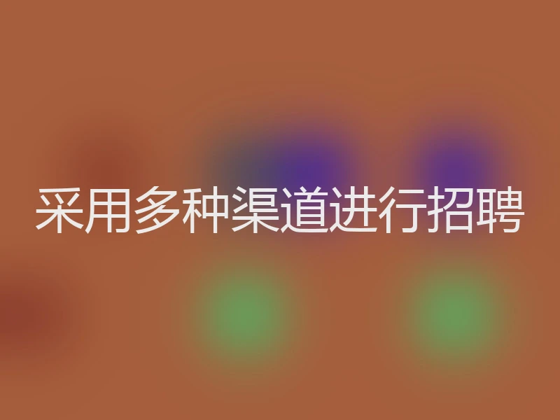 采用多种渠道进行招聘